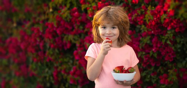 春の子供の肖像画とバナー。幸せな子供は夏の屋外でイチゴを食べる. — ストック写真