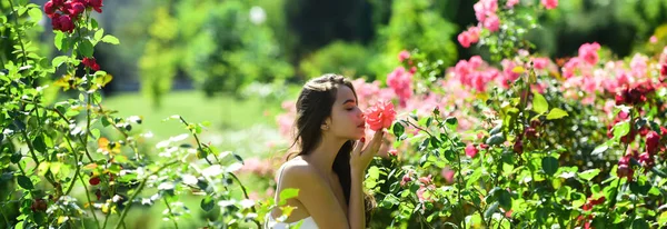 Naturlig skönhet och parfym kosmetika. Vårkvinna på Rosefält. Vacker ung kvinna med blommande gren, ung kvinna i vårblommande trädgård. Våren för banderoll. — Stockfoto