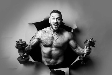 İnsan gücü. Dambılı heyecanlı adam. Stüdyoda pazı kaldıran bir sporcu. Egzersiz yapan atletik adam. Sancak sporu.