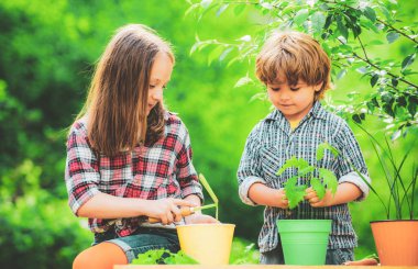 Kırsalda eğlenen sevimli küçük çocuklar. Mutlu çocukluk oynayan çocuk.