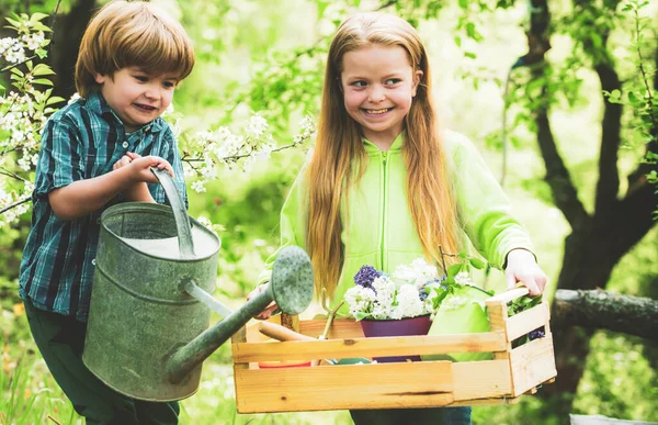 Infancia en el campo. Sonriente niño y niña jardinería y divertirse en el patio de primavera. Niños bastante lindos trabajando y jugando en un hermoso jardín. Pequeños amantes de la naturaleza. Concepto de infancia feliz . —  Fotos de Stock