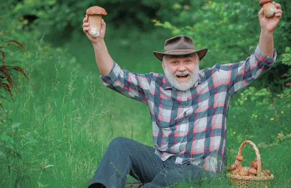 Dziadek z koszem grzybów i zdziwiony wyraz twarzy. Happy dziadek-lato i hobby. Starzec chodzenie-Pension czas. — Zdjęcie stockowe