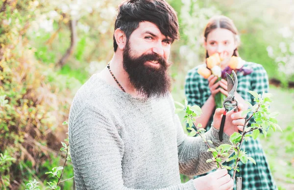 Hombre injertando rama de primavera. Hombre sonriente preparándose para plantar. Injerto . —  Fotos de Stock