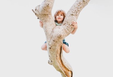 Ağaç dalına tırmanan bir çocuk, beyaz üzerine izole edilmiş..