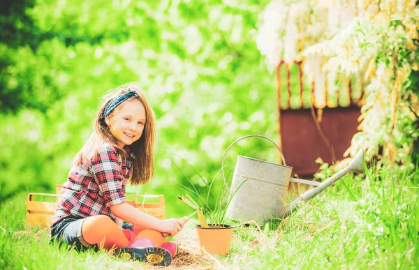 Το παιδί μαζεύει παντζάρια σε έναν αστικό κοινόχρηστο κήπο. Το παιδί δουλεύει στο πάρκο με τα λουλούδια. Γίνε αγρότης. Φροντίδα και πότισμα λουλουδιών. — Φωτογραφία Αρχείου