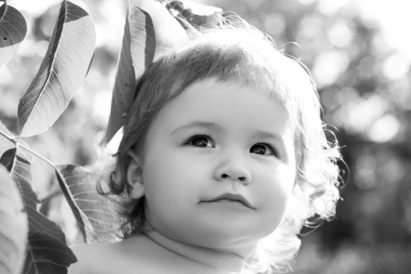 Niño caucásico con retrato de hojas verdes de cerca. Cara de bebé para niños en el parque natural. —  Fotos de Stock