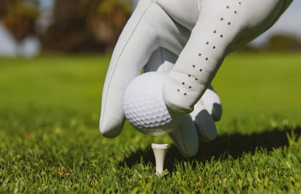 Main mettant la balle de golf sur le tee dans le terrain de golf. Boule de golf en herbe. — Photo
