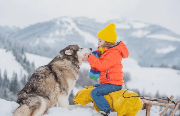 Crianças de inverno com Husky cão na neve. Husky siberiano com olhos azuis na floresta de inverno, Áustria ou Canadá. — Fotografia de Stock