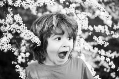 Bahar parkında çiçek açan ağaçtaki heyecanlı çocuk. Dışarıdaki mutlu çocuk. Çiçek bahçesi.