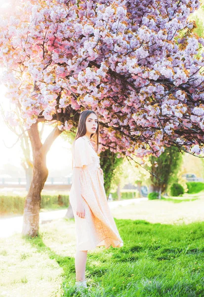 Körsbärsblomma. Glad söt ung kvinna med vårblommor i trädgården. — Stockfoto