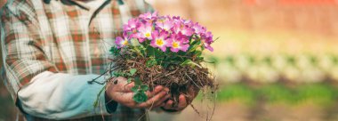 Bahar bayrağı. Çiçek bahçesinin yanındaki bahçede çalışan bir çocuk. Genç çiftçi. Bahar sahasında oynayan çizmeli bir çocuk..