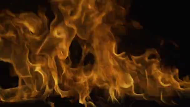 Oheň, hořící plamen. Velký hořící plamen ohně. Ďábelský oheň, pekelný koncept. Efekt výbuchu. — Stock video