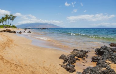 Hawaii plajı. Sakin deniz sahili arka planı. Kumlu tropik yaz plajı. Okyanus suyu. Doğal deniz manzarası.