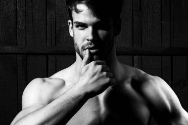 Genç adamın kameraya baktığı bir stüdyo fotoğrafı. Kendine güveni olan yakışıklı bir adam. Erkekler cinsellik, cazibe ve karizma.