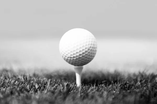 Golf ball on green course background with copy space. — Stock Photo, Image