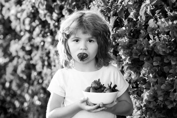快乐的孩子夏天在户外吃草莓. — 图库照片