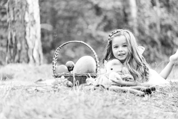 Παιδί σε πικνίκ με καλάθι, παιδί στο πάρκο φθινόπωρο. Το κοριτσάκι αγκαλιάζει τον Τέντι και απολαμβάνει τον ελεύθερο χρόνο. — Φωτογραφία Αρχείου