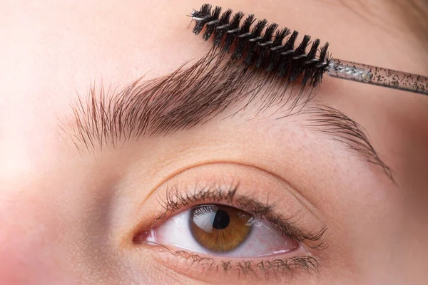 Cejas de mujer. Hermosa chica con cepillo de cejas. Chica con maquillaje natural. Corrección de cejas. Macro primer plano de cejas. —  Fotos de Stock