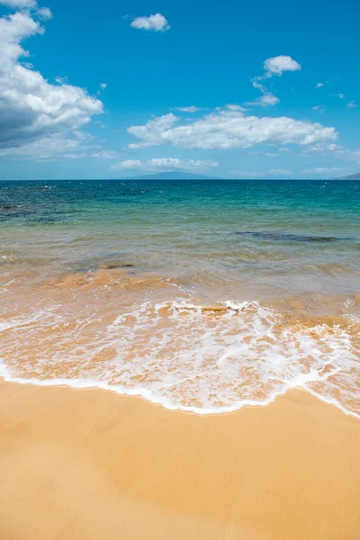 Latar belakang pantai laut yang tenang. Pantai tropis musim panas dengan pasir. Laut air. Tanaman alami. — Stok Foto