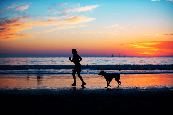 日の出の日没の気分でビーチの背景で犬と一緒に歩く女性。夏休みのコピースペースと旅行のコンセプト. — ストック写真