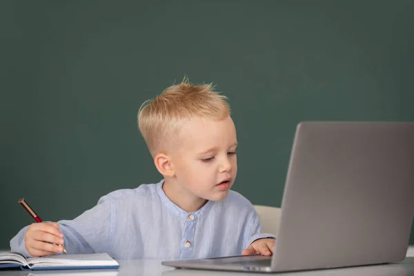 Criança pequena bonito usando computador portátil, garoto estudando através de e-learning online. Um administrador engraçado do sistema. Aluno loira engraçada no quadro negro. — Fotografia de Stock