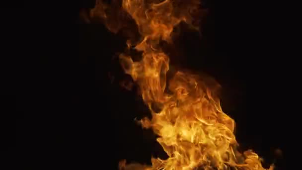 Zářící plamen. Koncept hoření. Ohnivá textura plamene. Požár plameny překrývají pozadí. — Stock video