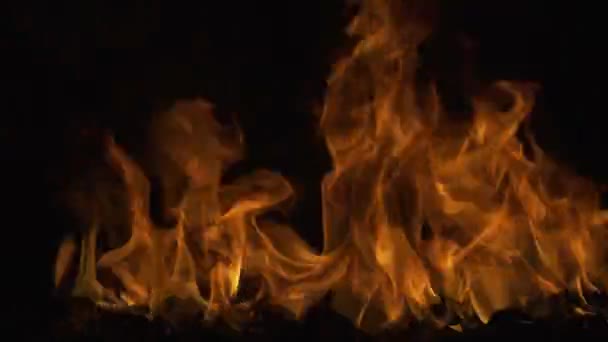 Du feu. Fond abstrait de feu et de flammes. Brûler une grande flamme. Feu diabolique, concept enfer. — Video