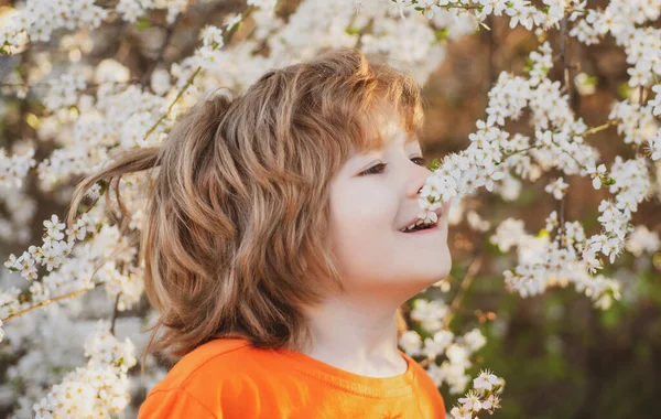 Criança na árvore florescente no parque de primavera. Rapaz sorridente ao ar livre. Jardim da flor. — Fotografia de Stock