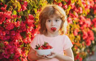 Doğada çilek yiyen küçük bir çocuk. Çocuk lezzetli bir böğürtlenin tadını çıkarıyor.