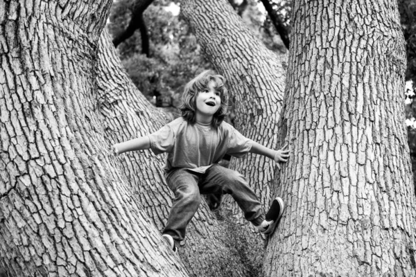 Malý roztomilý chlapec, šplhá na strom v přírodě. Děti si hrají venku. — Stock fotografie