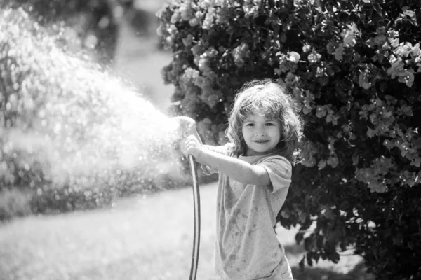 Feliz niño divirtiéndose en el jardín doméstico. Manguera de jardín de riego para niños. Juegos activos al aire libre para niños en el patio trasero durante el tiempo de cosecha — Foto de Stock