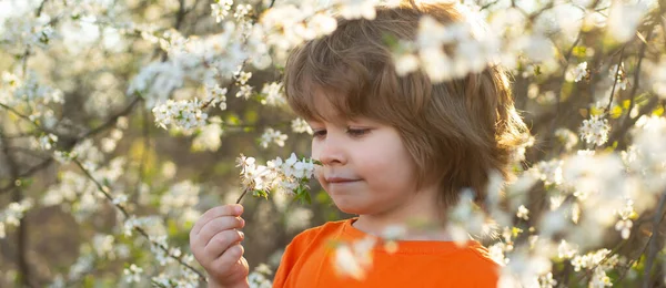 Banner com retrato de crianças da primavera. Menino bonito da mola no parque florescendo. Miúdo sorridente ao ar livre. Árvore florescente no jardim. Crianças fechar o rosto no fundo flor. — Fotografia de Stock