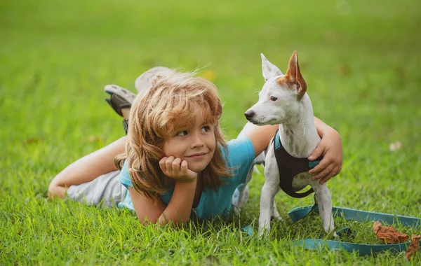 Gelukkige kind en hond knuffels, liggend op achtertuin gazon. Schattig jongetje met hond ontspannend op park. Puppies en kind in het gras buiten. — Stockfoto