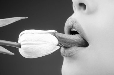 Lips and spring flower. Sexy woman mouth and flowers. Oral sex, orgasm, blowjob, licking flower. Girl lips with tulips.
