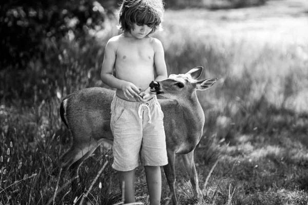 Cute dziecko karmić dziecko jeleni jeleni bambi zewnątrz. Piękny chłopiec z pełnym wdzięku zwierzęciem w parku. Adaptacja dzieci. — Zdjęcie stockowe