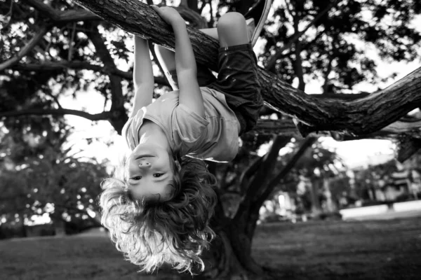 Glimlachend kind klimmend in een boom in de tuin. Actief kind dat buiten speelt op zonnige dag. Portret van een leuke jongen die op zonnige dag op de tak zit. Kinderklimmen. — Stockfoto