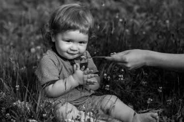 Kaşıkla bebeği besle. Anneler bebeği kaşıkla besliyor. Yaz tayını, çocuk bakımı. Çiftlikte günaydın..