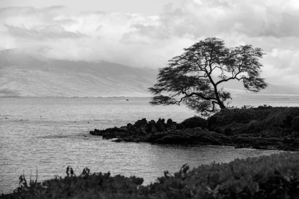 Paysage plage tranquille. Hawaï, paradis tropical hawaïen. — Photo