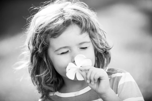 Engraçado criança cheirando flor plumeria, rosto de perto. Crianças no verão parque natural, retrato. — Fotografia de Stock