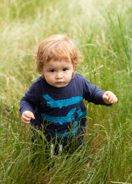 Μωρό παιδί στο πράσινο γρασίδι στο πάρκο φθινόπωρο. Το προσωπάκι του μωρού κοντά. Αστείο παιδικό πορτραίτο. Ξανθό παιδί, συναισθηματικό πρόσωπο. — Φωτογραφία Αρχείου