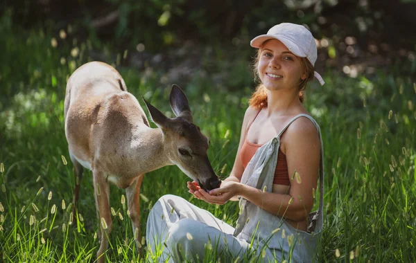 Une femme nourrit des cerfs. Concept d'animaux sauvages. Femme nourrissant le faon. Animal au parc. — Photo