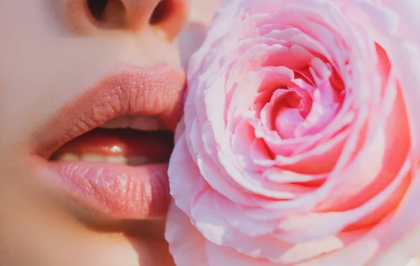Χείλη με κοντά κραγιόν. Ευαισθησία ροζ τριαντάφυλλο. Τα χείλη νοιάζονται. Ευαισθησία των γυναικών χείλη με ροζ τριαντάφυλλο. Ευαίσθητη γυναίκα. Έννοια της φροντίδας και της τρυφερότητας. Γυναικείο στόμα με τριαντάφυλλο. — Φωτογραφία Αρχείου
