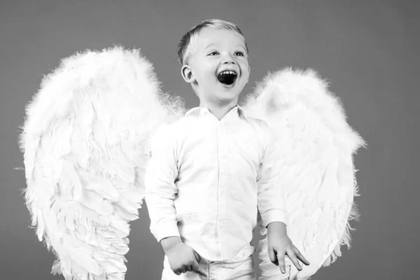 幸せな笑顔の肖像画小さな巻きブロンド天使の少年。天使の子だ。幼児は天使の白いドレスの衣装と羽の翼を着て。罪のない子供の概念. — ストック写真