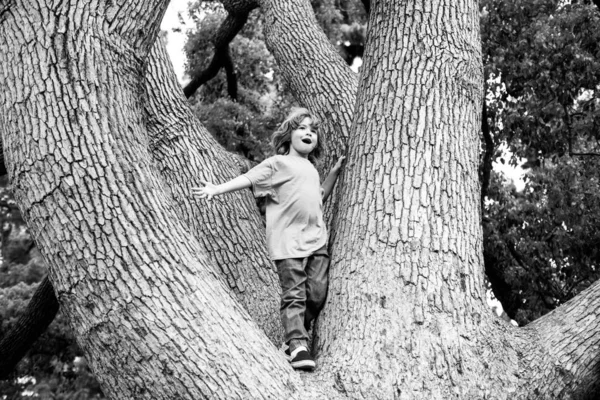 公園の屋外で木に登る遊んでいる子供たち. — ストック写真