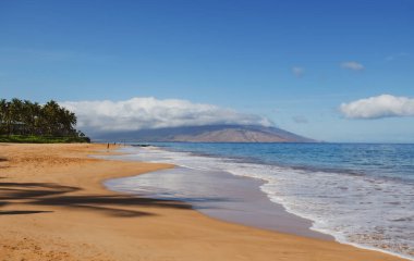 Hawaii plajı. Deniz arka planı, güneş ışığıyla birlikte tropik yaz plajlarının doğası. Kumsal, deniz suyu, fotokopi alanı, yaz tatili konsepti..