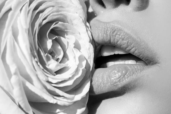 섹시 한 여자의 입술에 핑크 립스틱 과아름다운 핑크 장미가 피어 있다. 립스틱 클로즈업 한 입술. 아름다운 여인의 입술 과 장미. — 스톡 사진