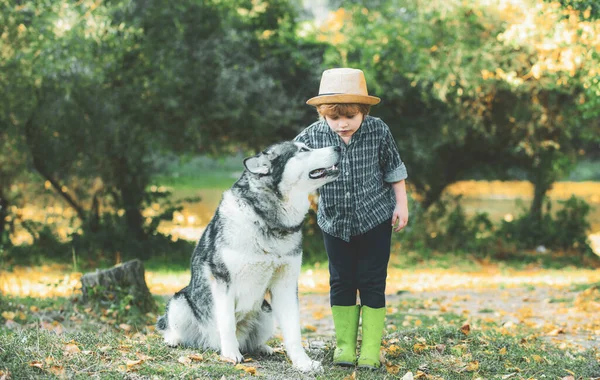 Dzieci się starzeją. Dziecko spędzające czas z psem na zielonym tle natury. Mały blondyn z psim przebraniem w parku. Dziecko w wieku 5 lat. — Zdjęcie stockowe
