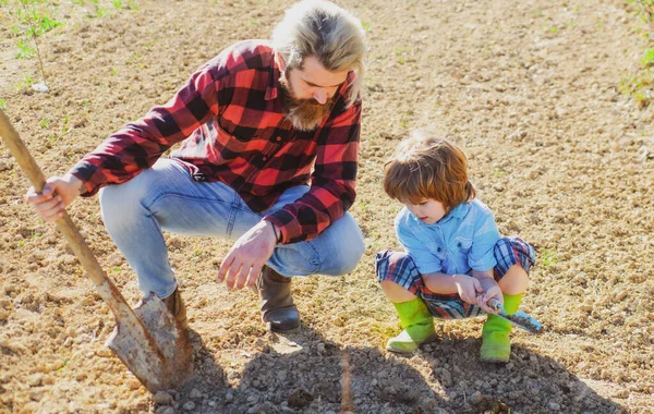 木を植える家族。息子は父親を助ける。庭の地面に父と子供の園芸。成長する植物. — ストック写真