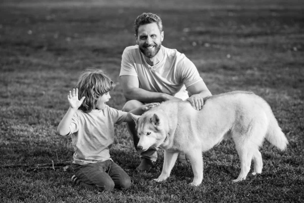 Família feliz está se divertindo com o cão husky. Pai feliz e seu filho brincando com o cão no parque. — Fotografia de Stock