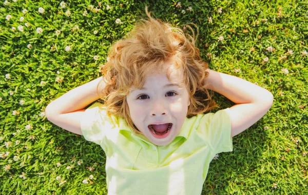 Emocionado espantado Kid deitado na grama, close up cabeça de criança bonito no parque natural de verão. Crianças curtindo verão. — Fotografia de Stock